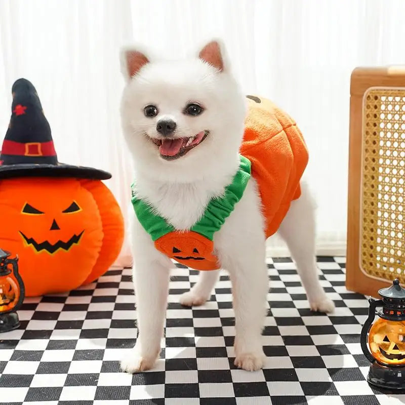 Cute Dog Halloween Hat Cloth Suit For Dogs Pets Cosplay Pumpkin Dog Costume Pet Cosplay Costumes Cozy Dog Festival Clothes