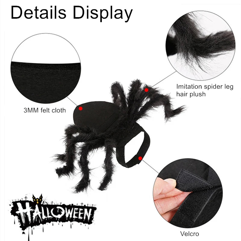 NONOR Halloween Dog Cat Clothes Pet Cosplay Funny Spider Costume Halloween Party Costumes for Small Medium Dog Cat Costumes