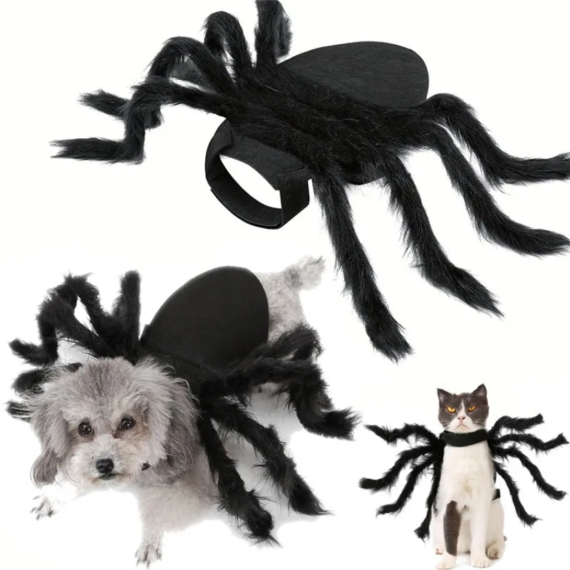 NONOR Halloween Dog Cat Clothes Pet Cosplay Funny Spider Costume Halloween Party Costumes for Small Medium Dog Cat Costumes