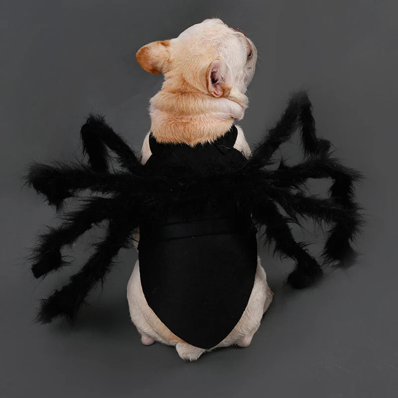 NONOR Halloween Dog Cat Clothes Pet Cosplay Funny Spider Costume Halloween Party Costumes for Small Medium Dog Cat Costumes