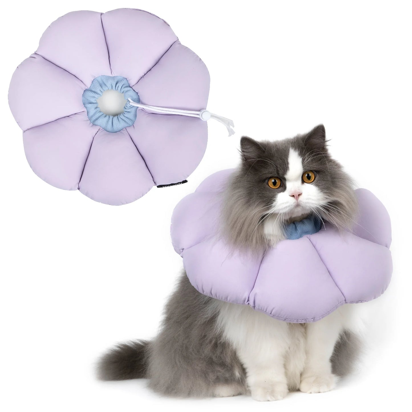 Safety Elizabethan Circle for Cats