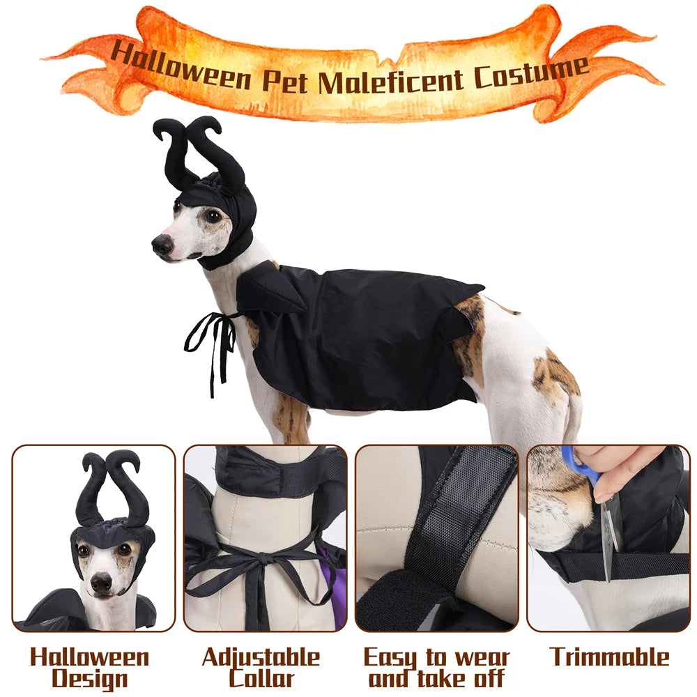 Halloween Dog Costume Black Purple Pet Maleficent Costume for Cats Dogs Adjustable Dog Dress Up Cape with Hat Funny Party Outfit