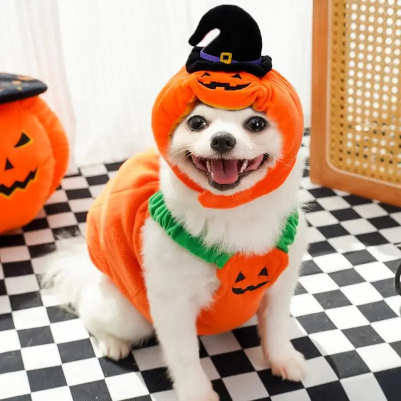 Cute Dog Halloween Hat Cloth Suit For Dogs Pets Cosplay Pumpkin Dog Costume Pet Cosplay Costumes Cozy Dog Festival Clothes