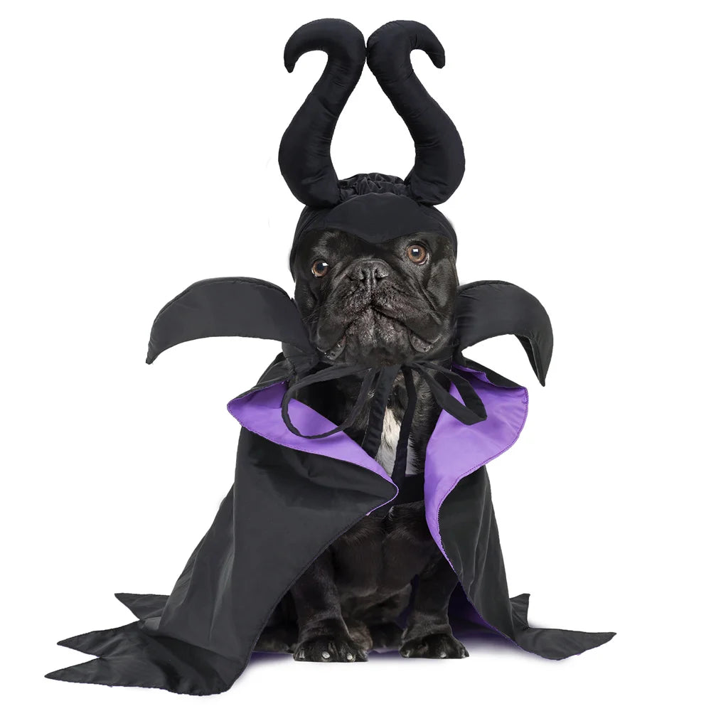 Halloween Dog Costume Black Purple Pet Maleficent Costume for Cats Dogs Adjustable Dog Dress Up Cape with Hat Funny Party Outfit