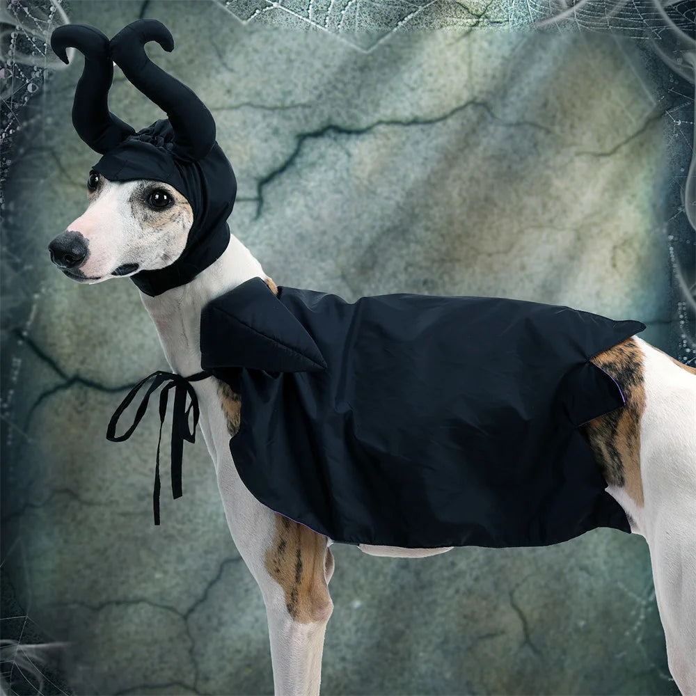 Halloween Dog Costume Black Purple Pet Maleficent Costume for Cats Dogs Adjustable Dog Dress Up Cape with Hat Funny Party Outfit