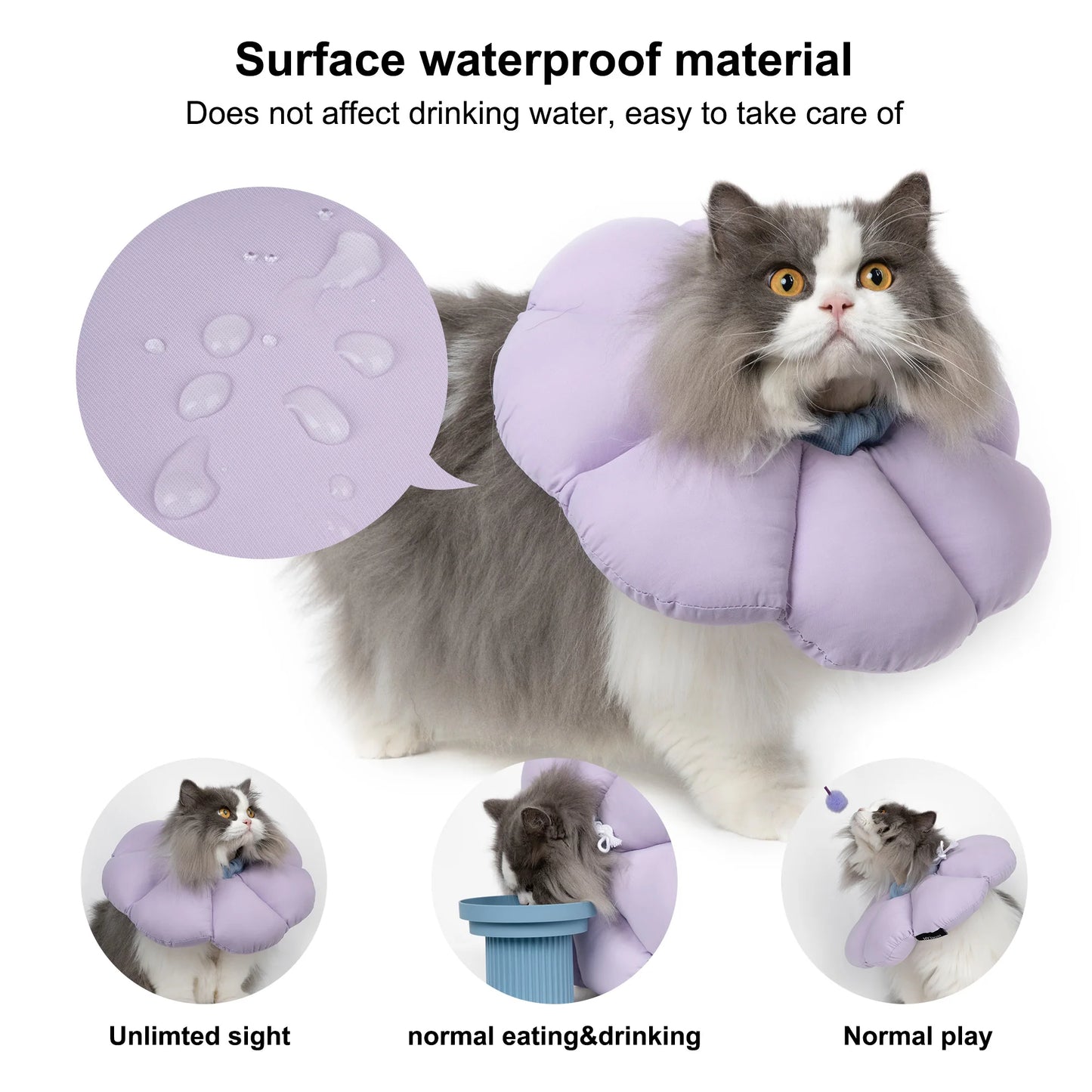 Safety Elizabethan Circle for Cats